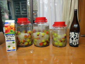 梅酒２